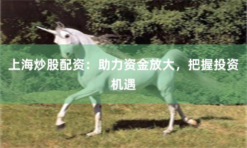 上海炒股配资：助力资金放大，把握投资机遇